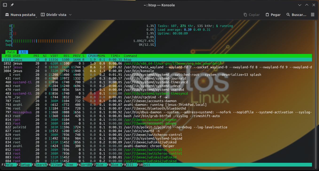 03 htop.png